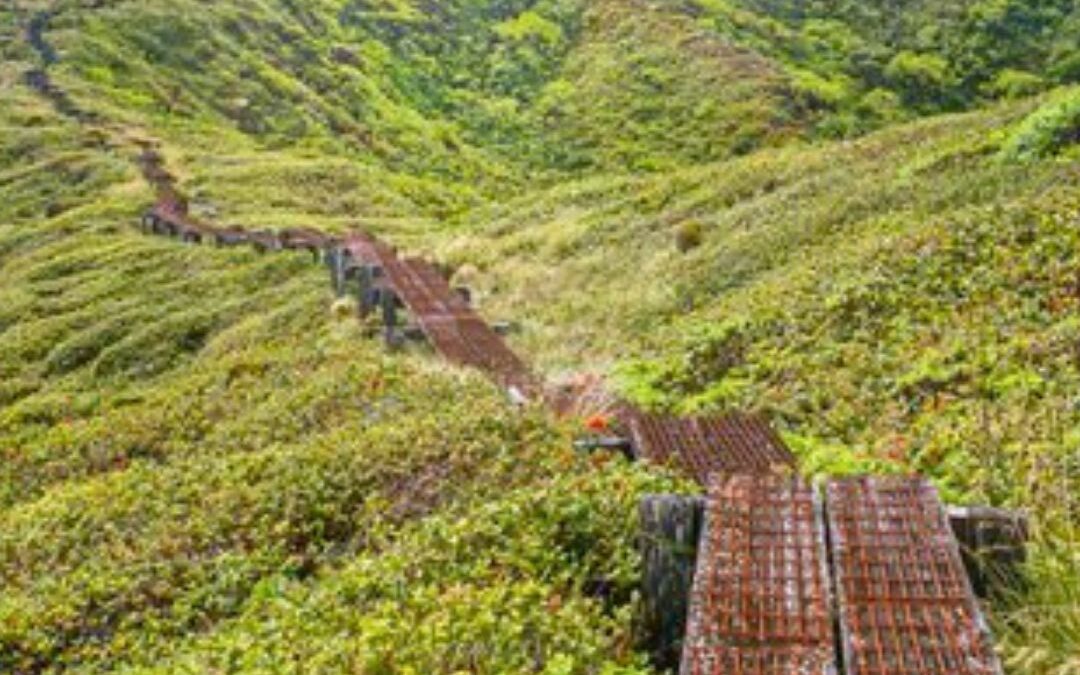 PRESERVING THE PU‘U KUKUI WATERSHED