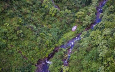 Kapalua Golf Donates Another $500,000 to Puʻu Kukui Watershed